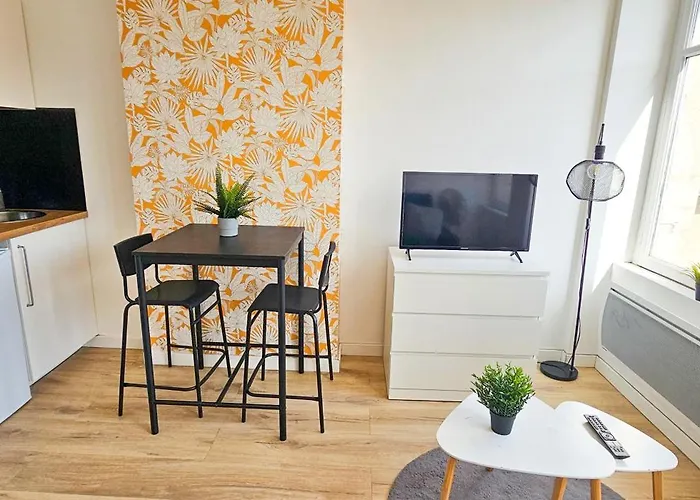 Apartmán Le Chavanelle! Saint-Etienne (Loire)
